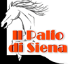 Palio di Siena: statistiche, curiosità e notizie